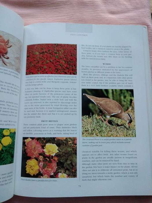 Attracting Birds to your Garden in Southern Africa Roy Trendler & Lex Hes