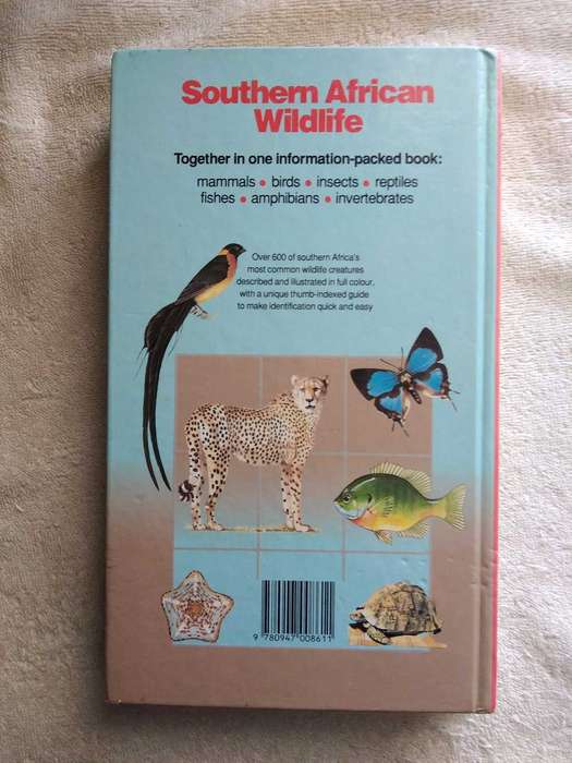 South African Wildlife