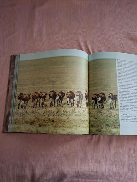 David Attenborough The Trials of Life