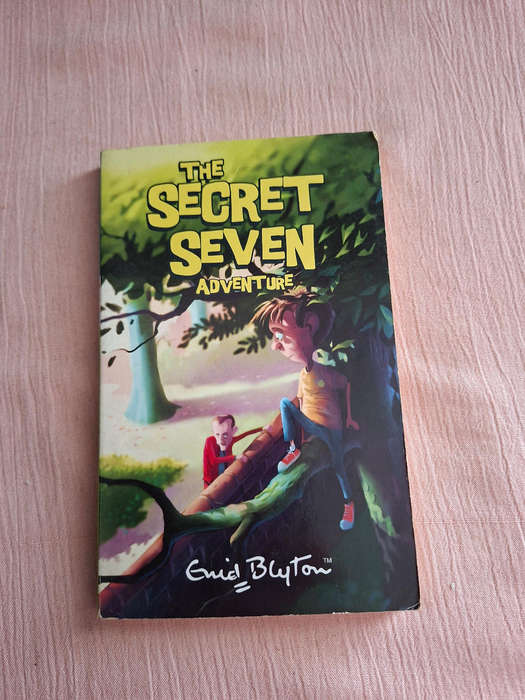 Enid Blyton The Secret Seven Adventure