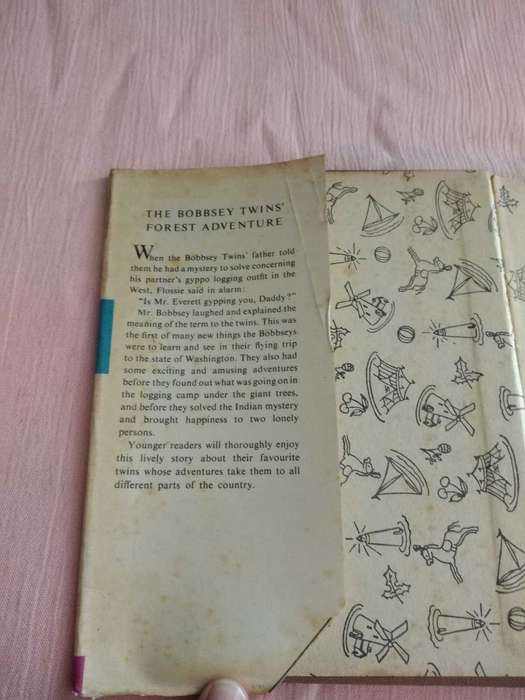 Laura Lee Hope The Bobbsey Twins Forest Adventure
