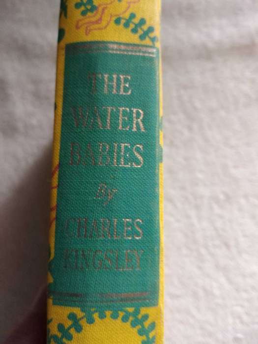 Charles Kingsley The Water Babies