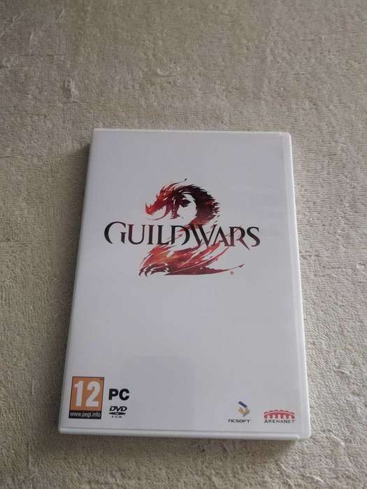 PC Game Guildwars 2