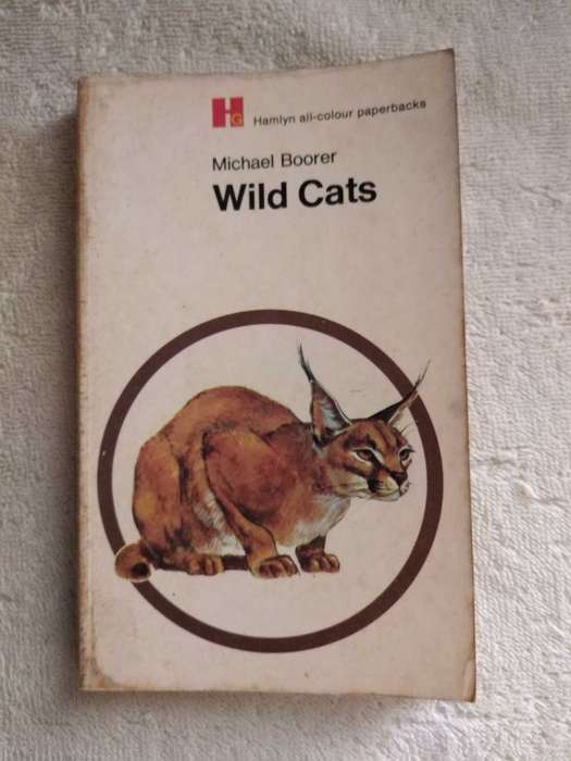 Michael Boorer Wild Cats