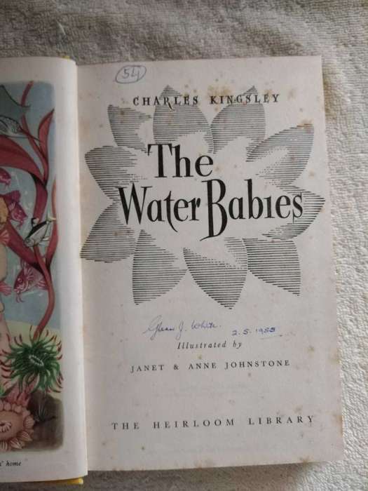Charles Kingsley The Water Babies