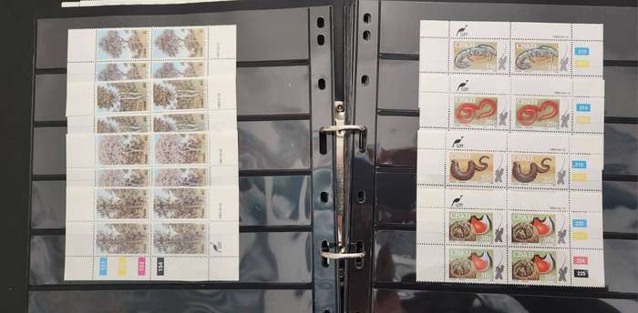 Ciskei control blocks