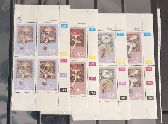 Ciskei control blocks
