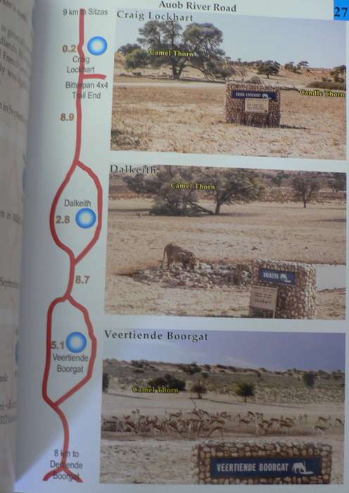 Kgalagadi Transfrontier Park guide by Peter Derichs