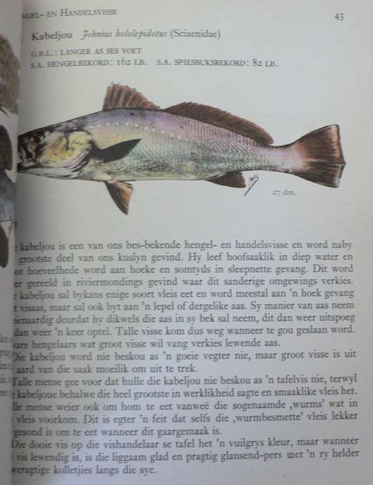 2 x Tsitsikama nature guides(Eastern Cape)