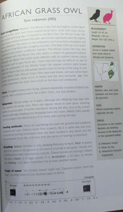 Raptor identification Guide for Southern Africa by Oberprieler and Cillie