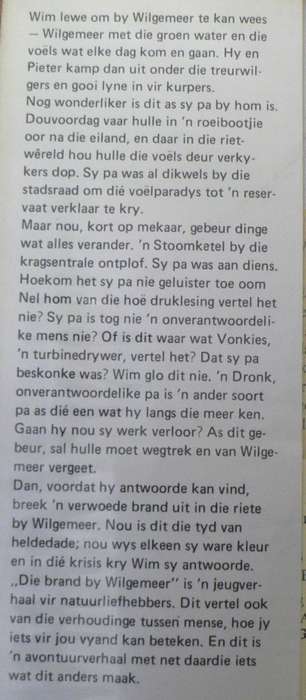 Die brand by Wilgemeer deur John Coetzee(skrywer van die Buksreeks)