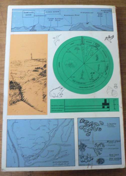 A field guide to the Eastern  Cape Coast by Lubke, Gess and Bruton