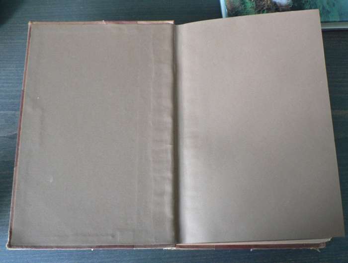 A Comparative grammar of South African Bantu Languages by J. Torrend (very scarce/1891)