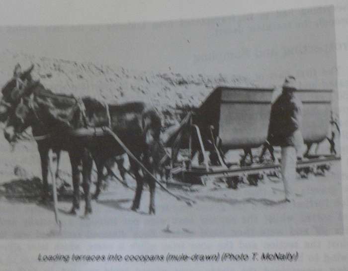 Diamond Beaches, a history of Oranjemund 1928-1989 (Northern Cape/Namibia country history)