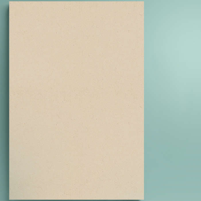 500 Page Graph Paper Notebook Dot Grid Paper