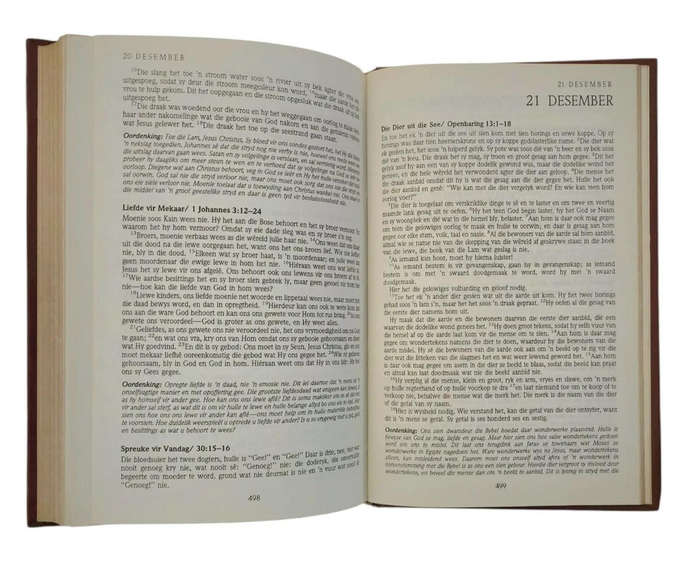 Die Eenjaarbybel: Nuwe Testament - Lees die volledige nuwe testament in 365 dae