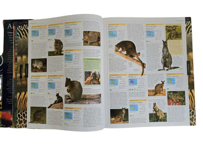 Animal: The definitive visual guide FREE SHIPPING