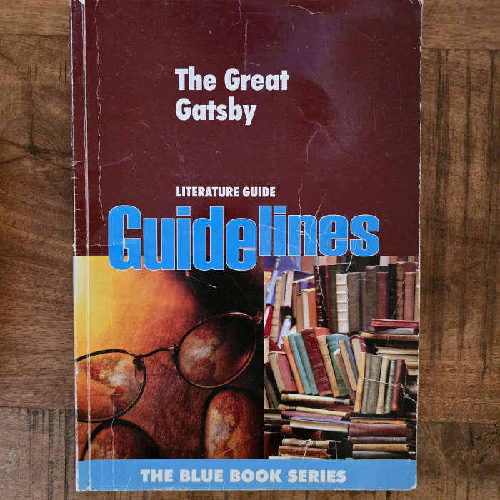 The Great Gatsby Guidelines literature guide