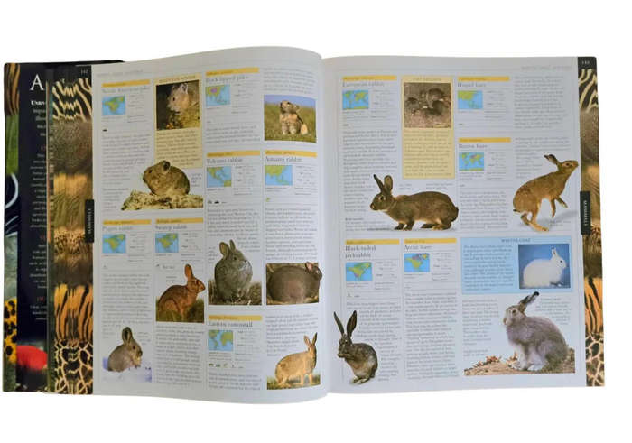 Animal: The definitive visual guide FREE SHIPPING