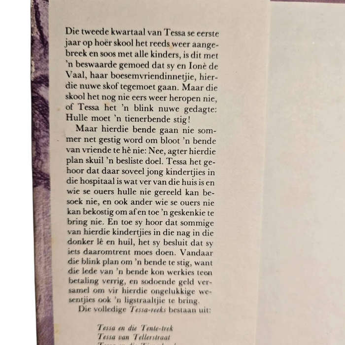 Tessa en die Tienerbende - Elizabeth Stander