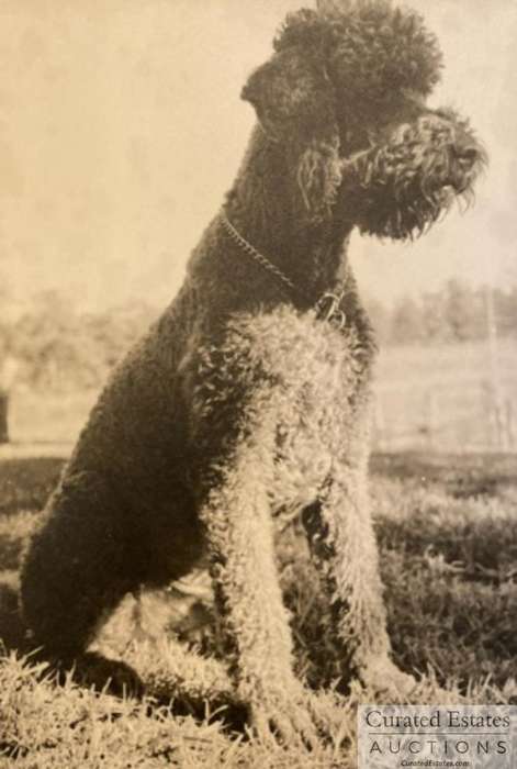 Travels with Charley - John Steinbeck