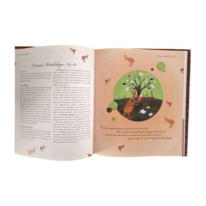 The new secret language of dreams - David Fontana FREE SHIPPING