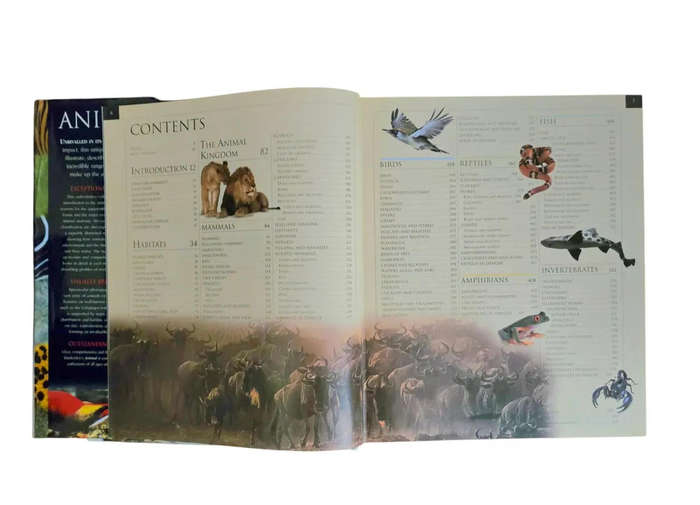 Animal: The definitive visual guide FREE SHIPPING