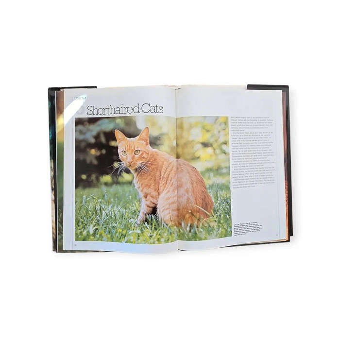 Best loved cats of the world - Peter McHoy