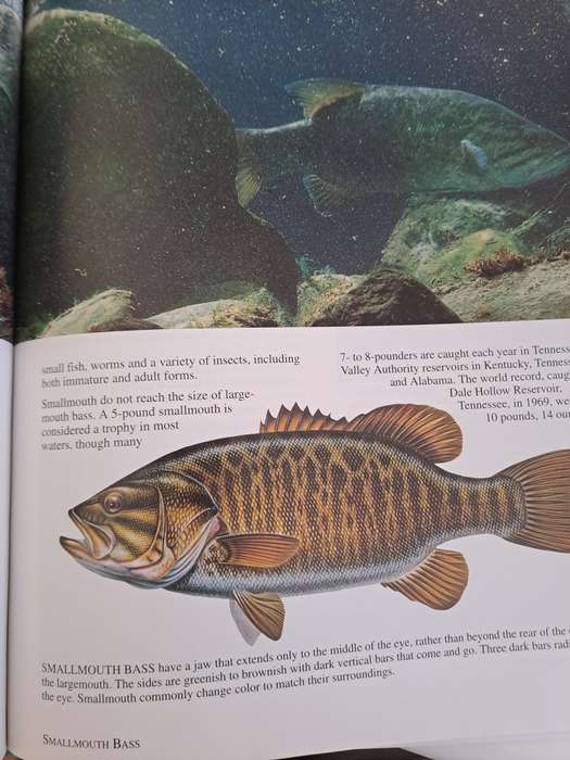 THE ART OF FRESHWATER FISHING