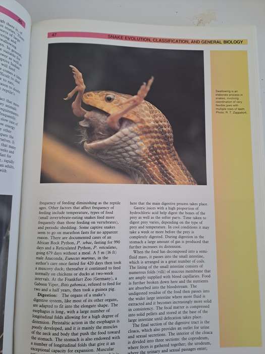 THE ATLAS OF SNAKES OF THE WORLD.  By J Coborn