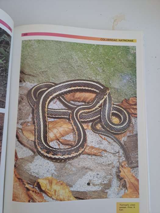 THE ATLAS OF SNAKES OF THE WORLD.  By J Coborn