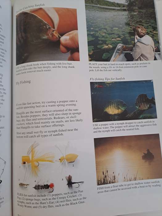 THE ART OF FRESHWATER FISHING