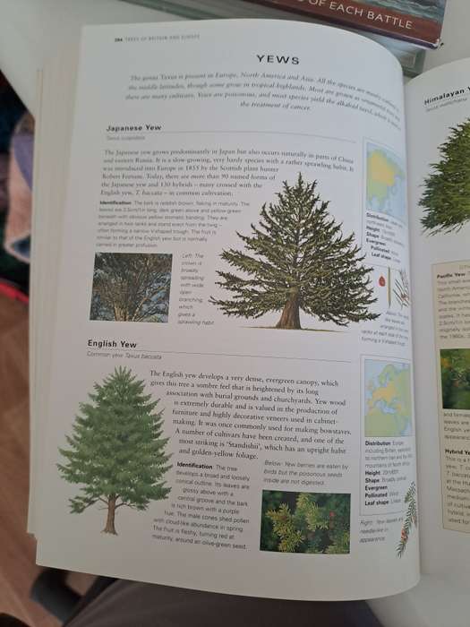 TREES OF THE WORLD.