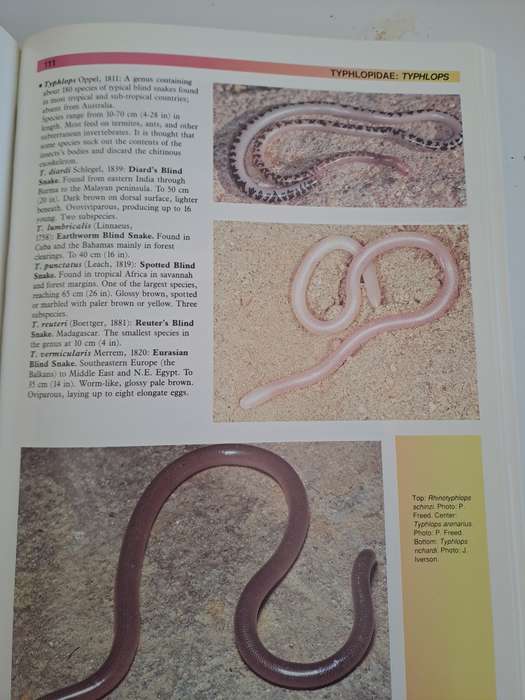 THE ATLAS OF SNAKES OF THE WORLD.  By J Coborn