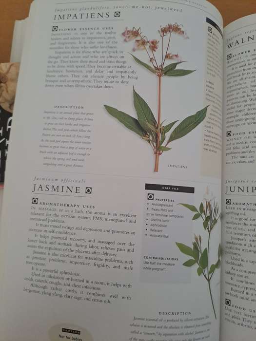 NATURAL HOME REMEDIES.  BY K Sullivan