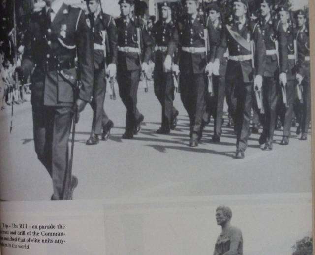 FIREFORCE. ONE MAN'S WAR IN THE RHODESIAN LIGHT INFANTRY. By Chris Cocks