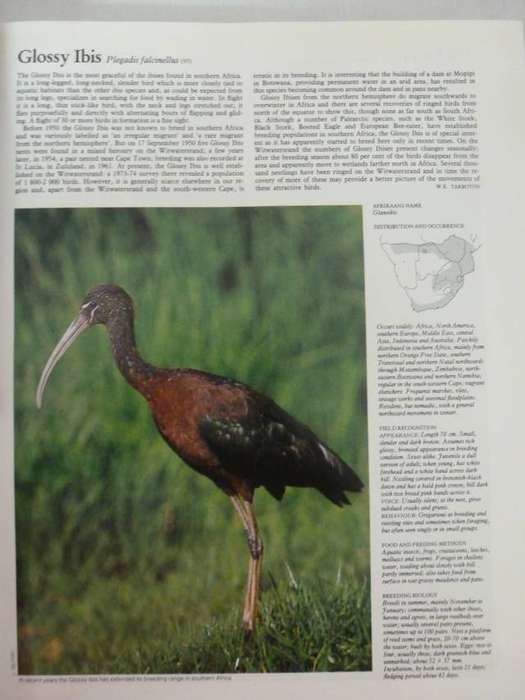 THE COMPLETE BOOK OF SOUTHERN AFRICAN BIRDS