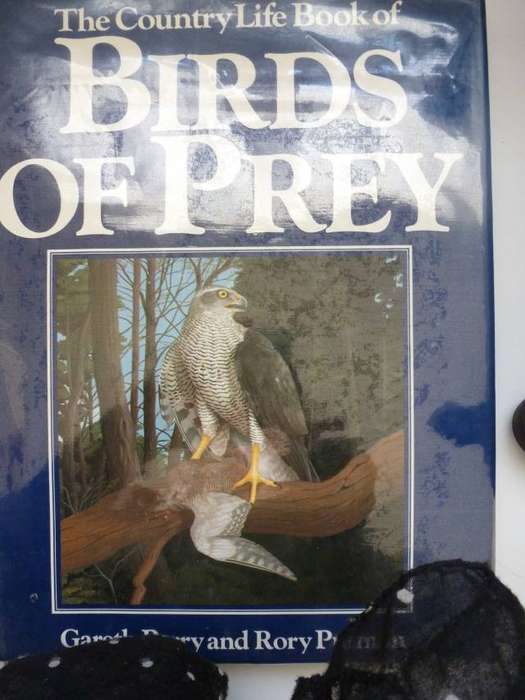 THE COUNTRY LIFE BOOK OF BIRDS OF PREY.  By G Parry & R Putman