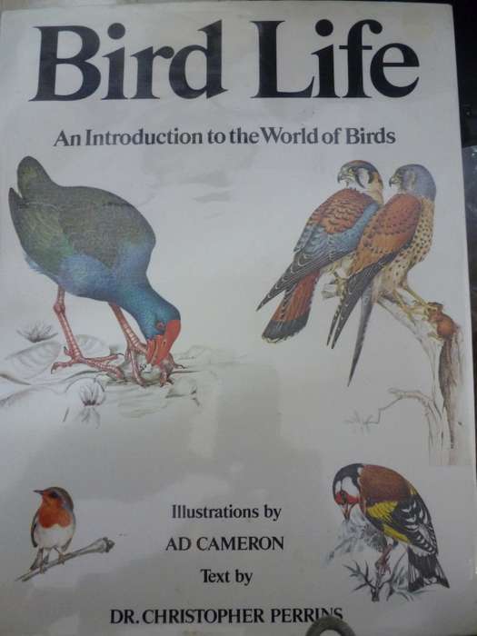 BIRD LIFE - AN INTRODUCTIONTO THE WORLD OF BIRDS. By C Perrins