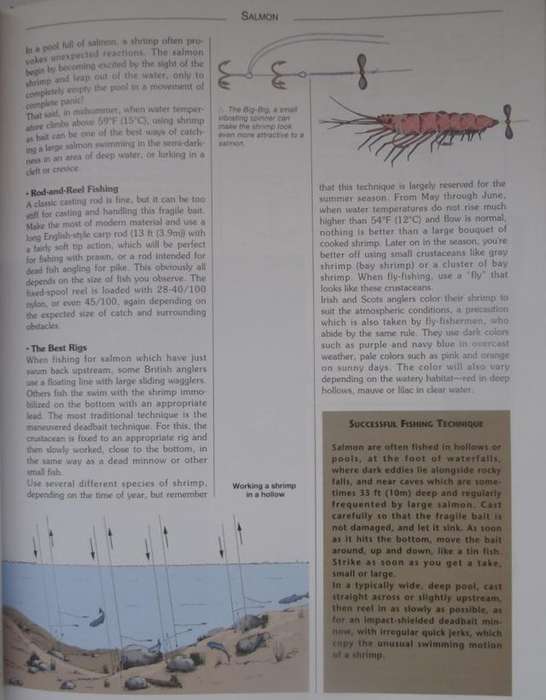 FISHING BOOKS X 2