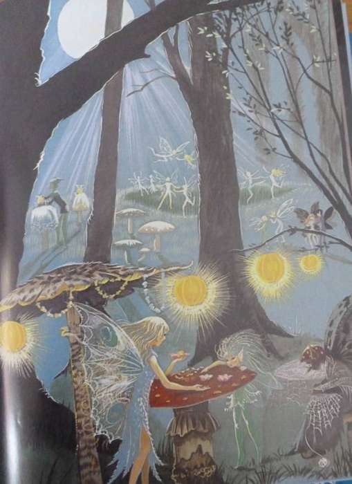 THE ENCHANTED WOOD. By Enid Blyton