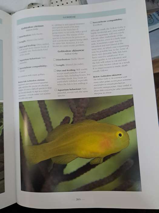 THE BOOK OF MARINE AQUARIUM. By Nick Dakin