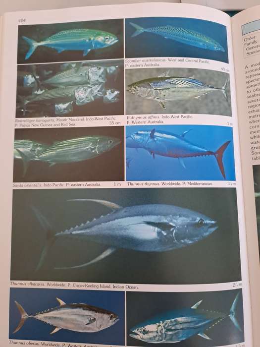 WORLD ATLAS OF MARINE FISHES.  By R Kuiter & H Debelius