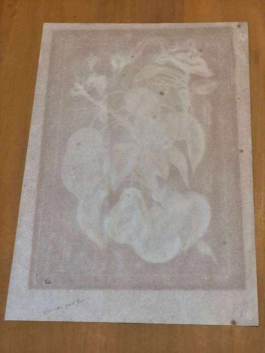 ORIGINAL 1783 hand coloured engraving of pears by Jean-Victor Dupin ( 1743 -1789). GREAT FRAME MOUNT