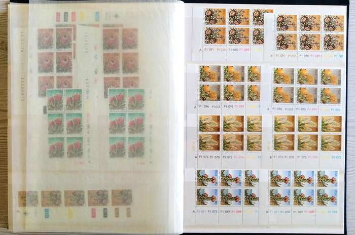 RSA definitives & earlier issues in 16pg/32 side stockbook
