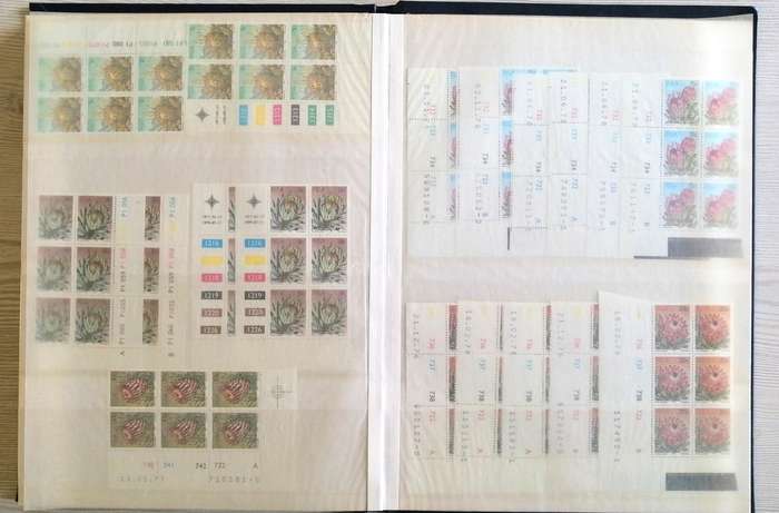 RSA definitives & earlier issues in 16pg/32 side stockbook