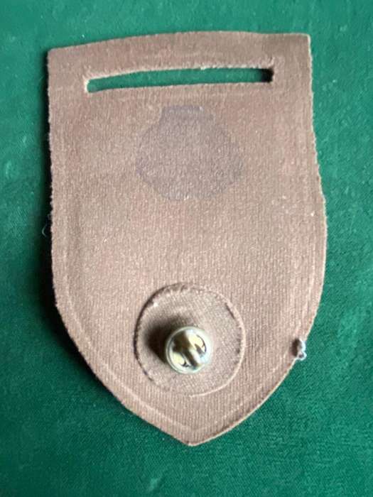 8 SA INF. BATTALION TUPPER FLASH-ONE PIN