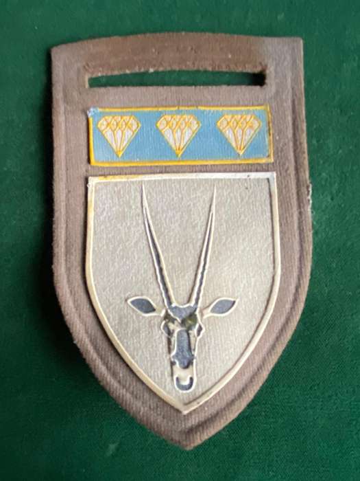 8 SA INF. BATTALION TUPPER FLASH-ONE PIN