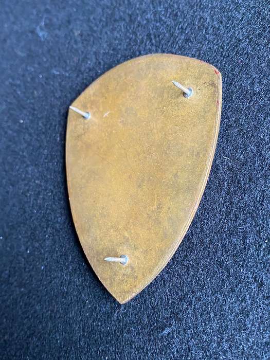 1 MILITARY HOSPITAL FLASH- 3 PINS