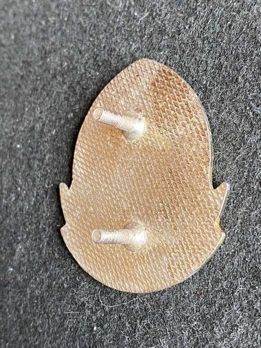 21 BATTALION BERET BADGE-WORN 1989-2003- 2 X SCREW LUGS